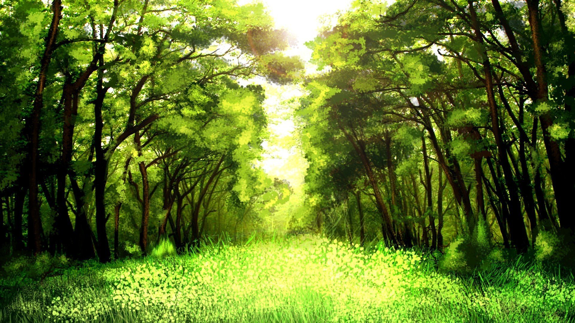 Лес летом план. Красивый лес. Летний лес. Фон леса. Зеленая природа.