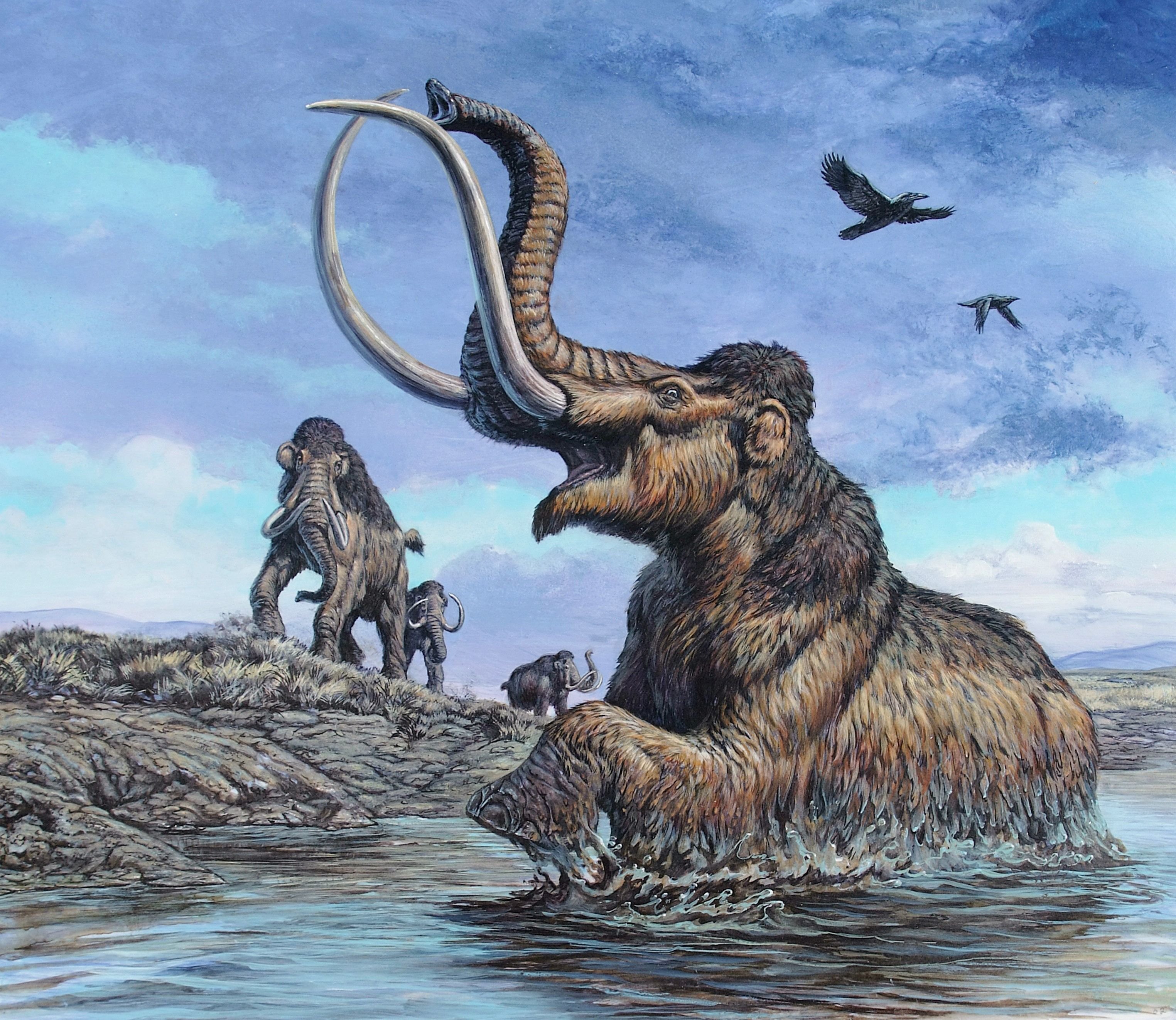 Вымершие животные картинки. Мегафауна ледникового периода. Палеоарт мамонты. Палеоарт 2022. Мегафауна Мамонтовая.