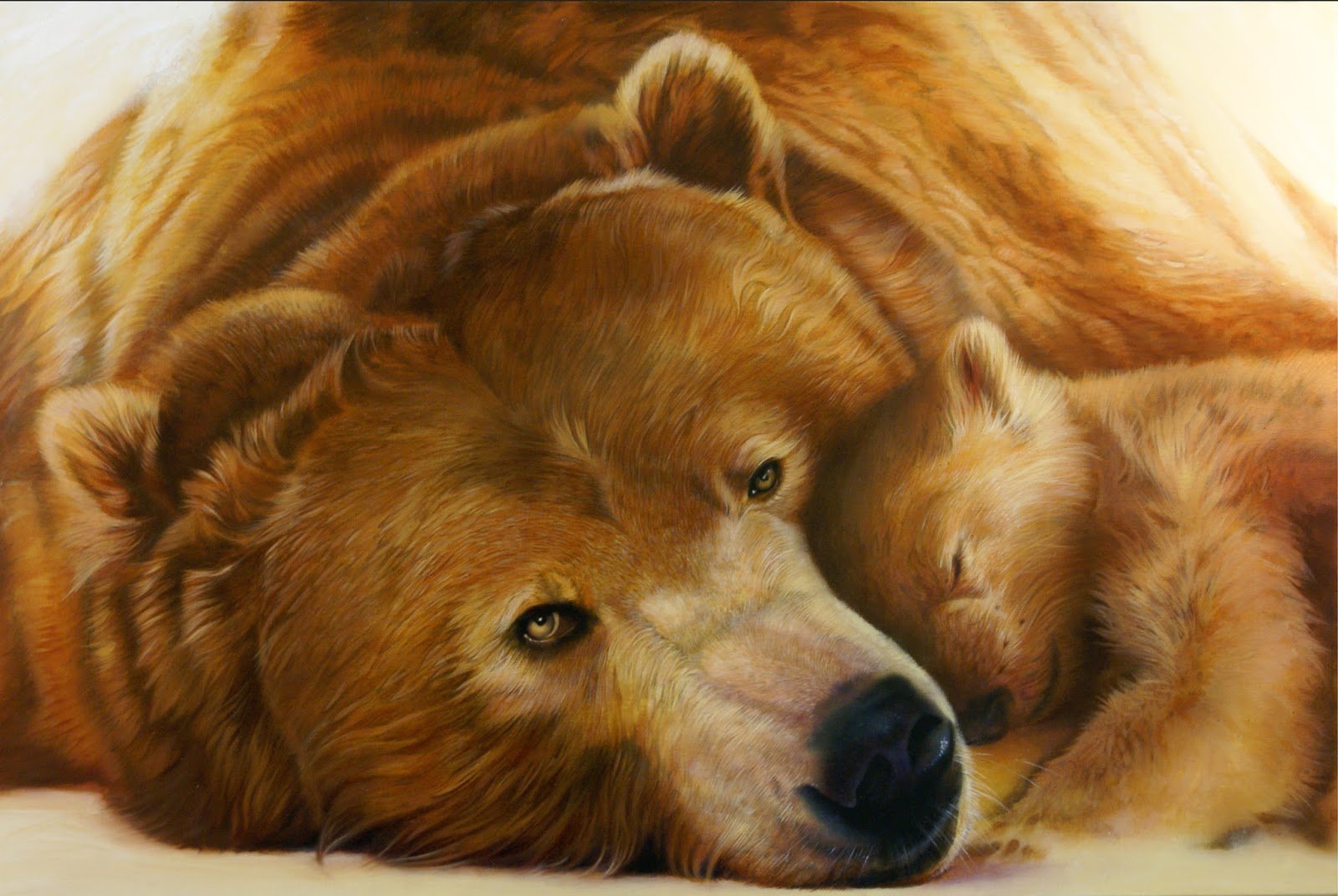 Animal johns. Карандаши цветные "животные". Картина медведь. Картины с изображением медведей. Картина семья медведей.