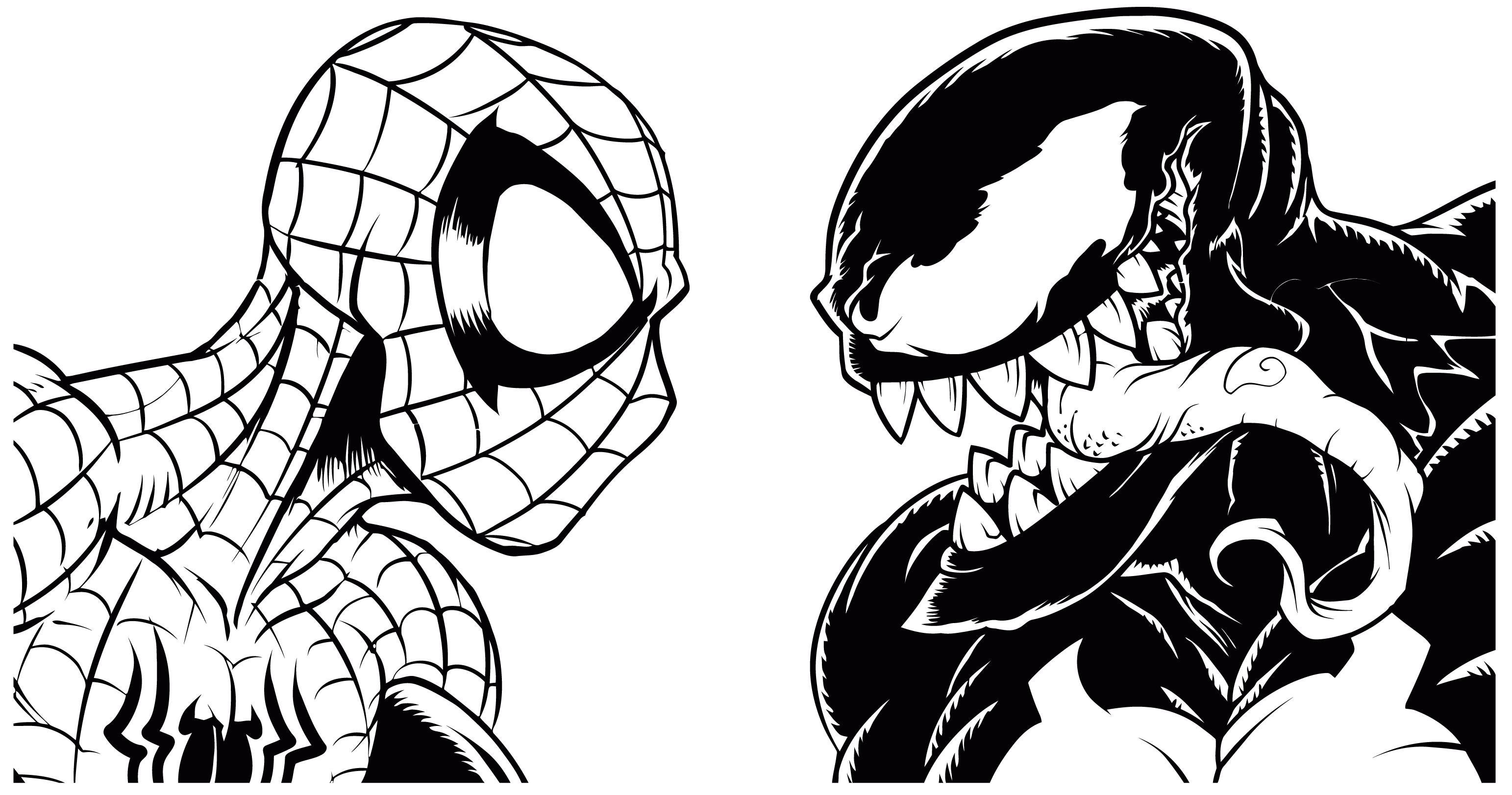 Веном паук раскраска. Человек паук и Веном рисунок. Раскраски человек паук и Веном. Нарисовать человека паука и Венома. Рисунок Марвел человек паук vs Веном.