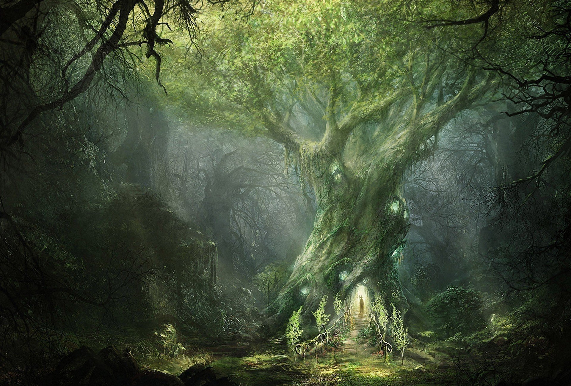 Картинки загадочный лес - 80 фото