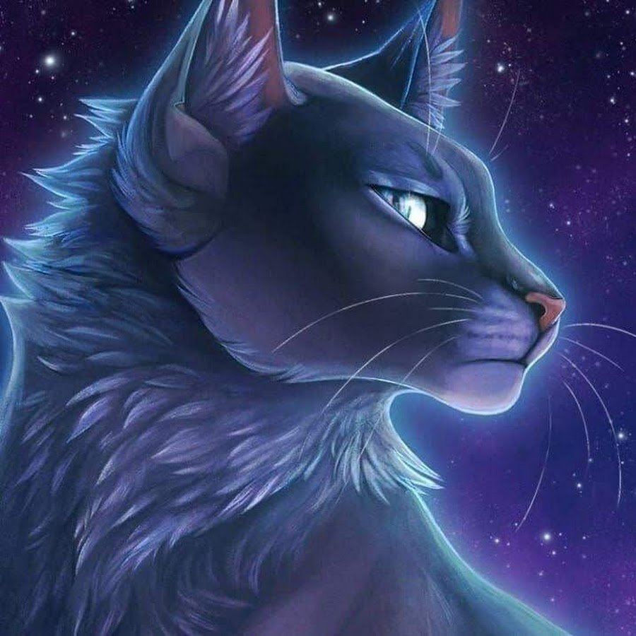 Синяя звезда из котов воителей. Коты Воители синяя звезда. Синяя коты Воители синяя звезда. Коты Воители кошки синяя звезда. Синяя звезда коты Воители арт.