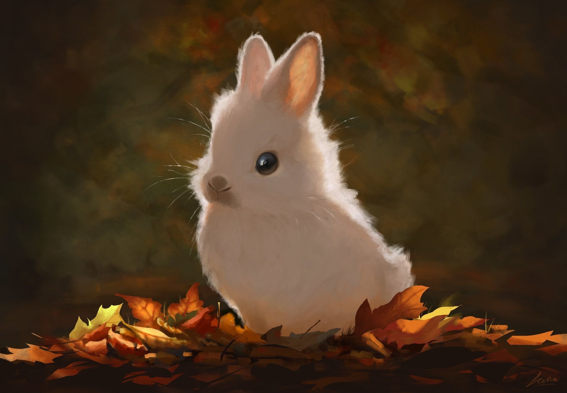 Заяц осенью в лесу картинки - 77 фото