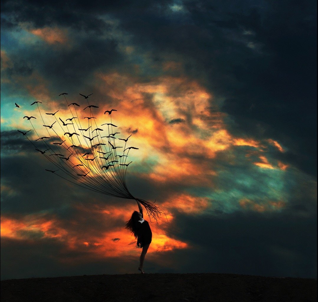 Бездна ветром. Птица одиночества. Девушка птица в небе. Птица души. Птица улетает в небо.