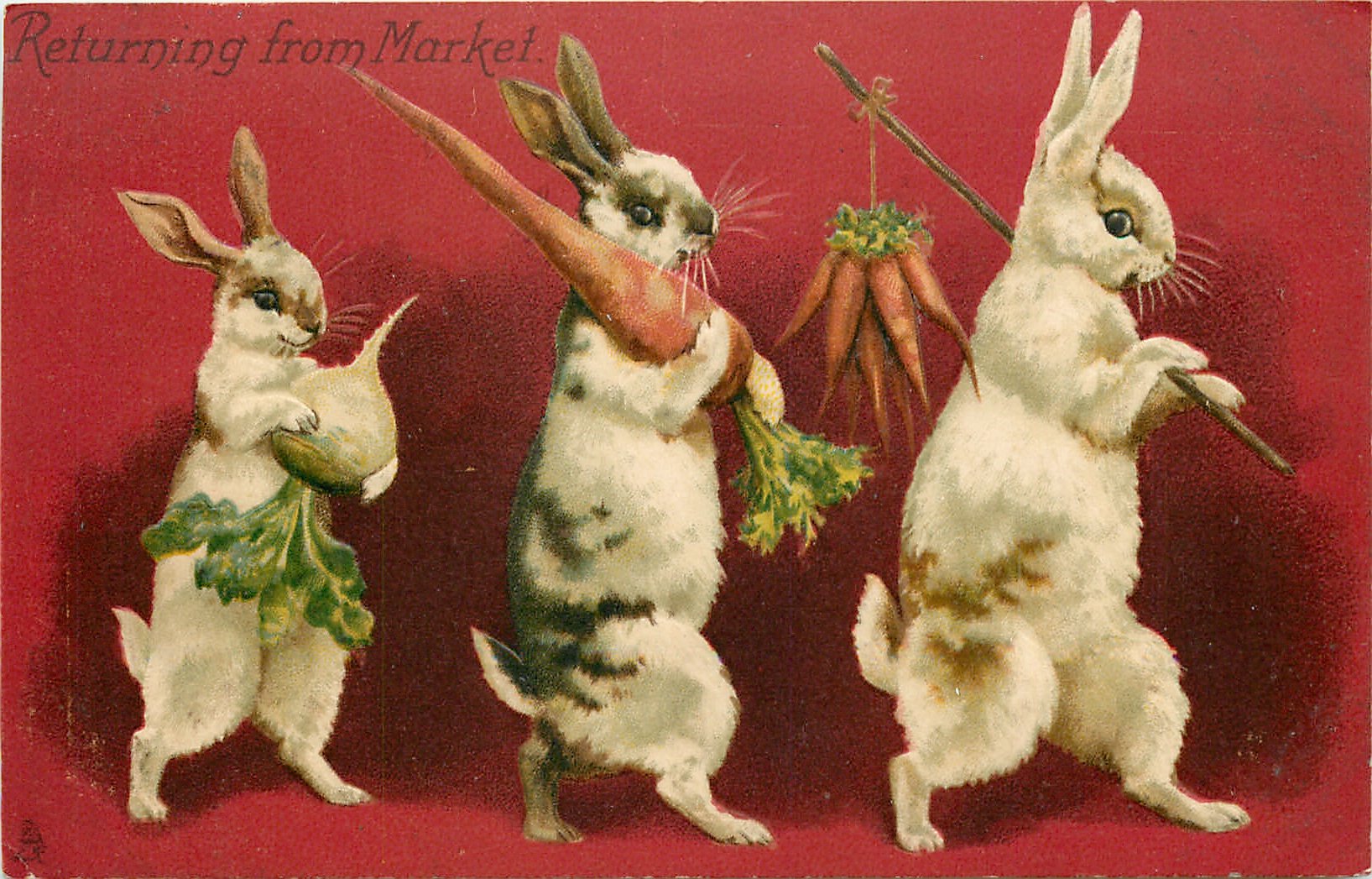Заяц пляшет. Кролик танцует. Винтажные кролики с морковкой. Танцующие зайцы. Кролик картина.
