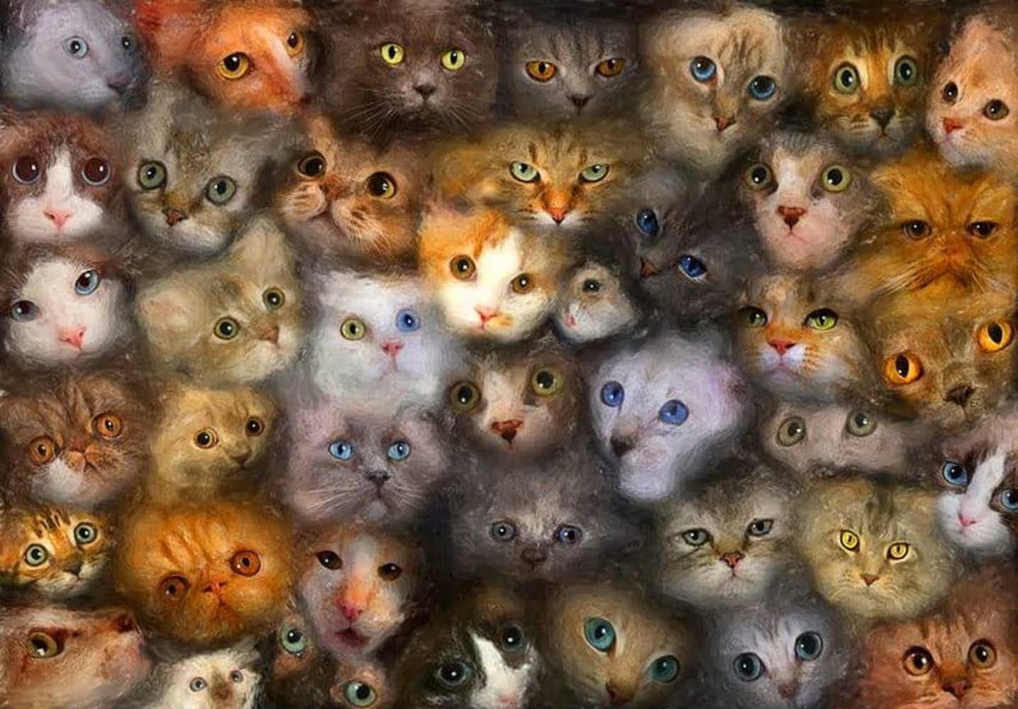 Включи много котика. Много кошек. Множество кошек. Много котов. Много котят.