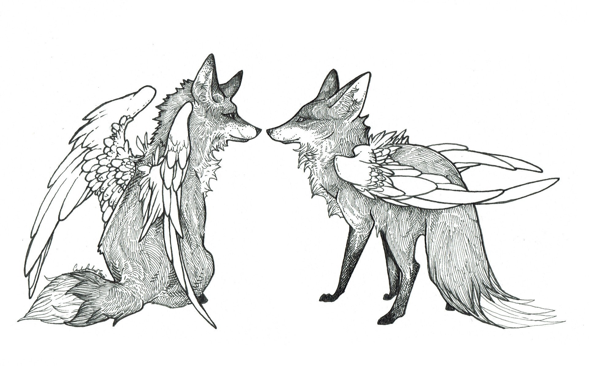 Рисунки лисов и волков