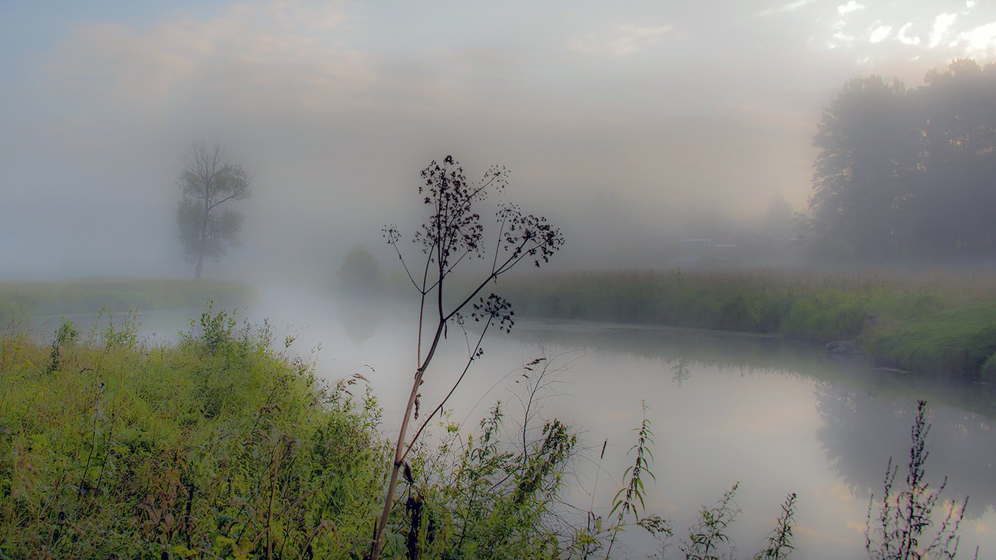 Стихотворение забелелся туман над рекой. Лето туман. Туман фото. Туман река военные танки.
