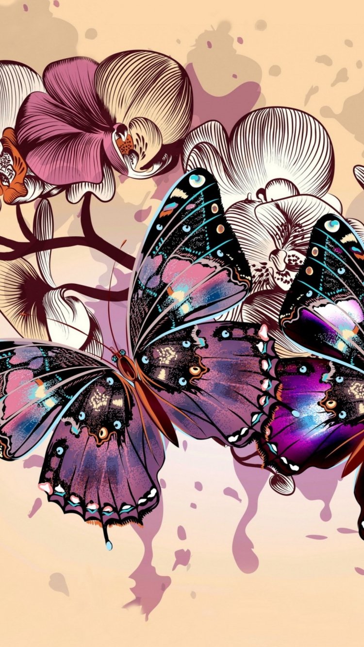 Картинка на заставку на телефон для женщин. Стильные обои на телефон. Заставка бабочки. Красивая бабочка рисунок. Заставки на телефон красивые.