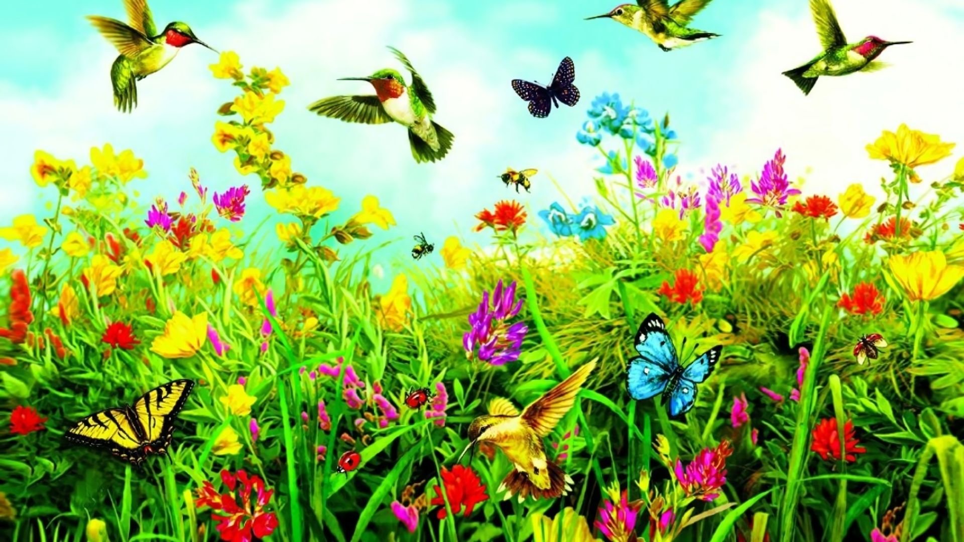 Группа цветы и природа. Лето бабочки. Лужайка с бабочками. Поляна с цветами и бабочками. Бабочки на лугу.