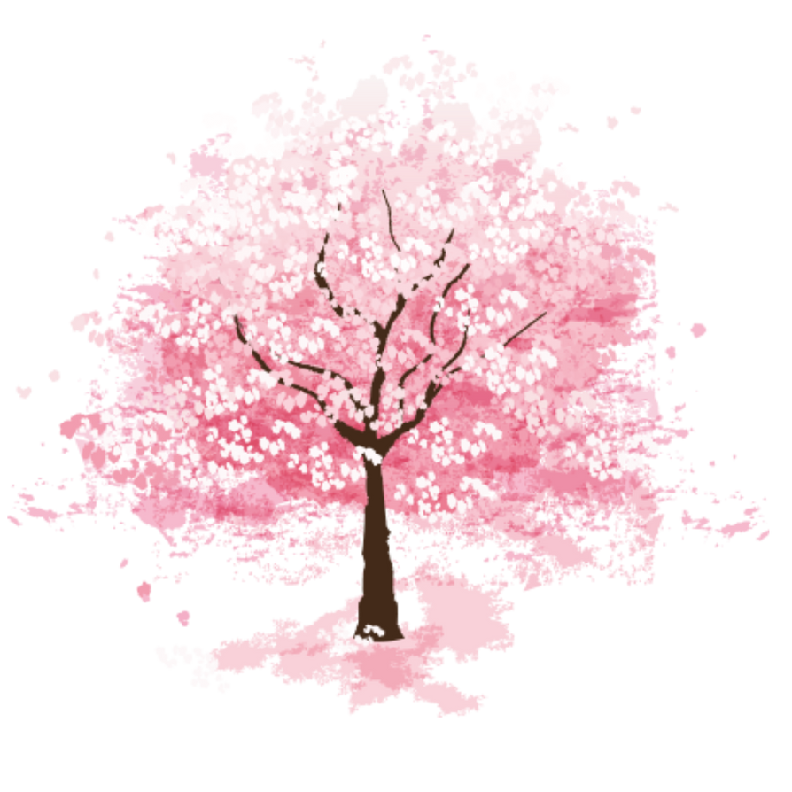 Сакура на английском. Сакура черри блоссом дерево. Сакура дерево на белом фоне. Цветущее дерево на белом фоне. Сакура дерево нарисованное.