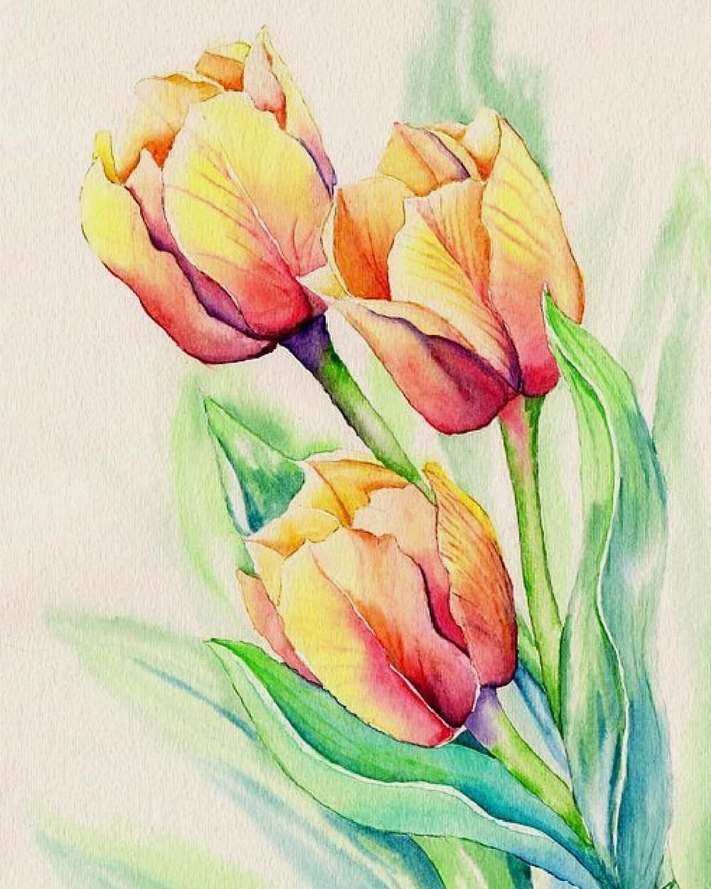 Нарисовать рисунок тюльпаны. Тюльпан лессировка. Тюльпаны акварелью. Тюльпаны рисунок цветными карандашами. Цветы акварельными карандашами.