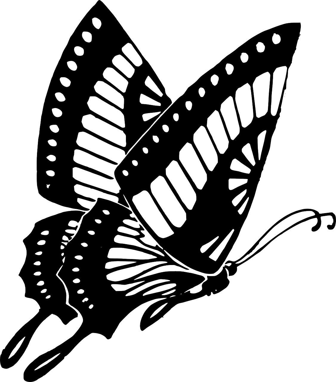 Черно белое изображение png. Бабочка рисунок. Силуэт бабочки. Бабочка черно белая. Бабочка Графика.
