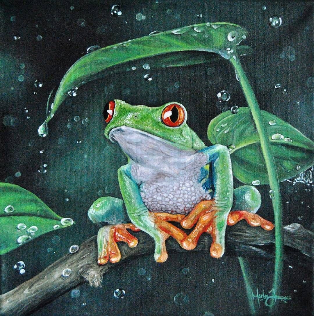 Картинки лягушка под дождем