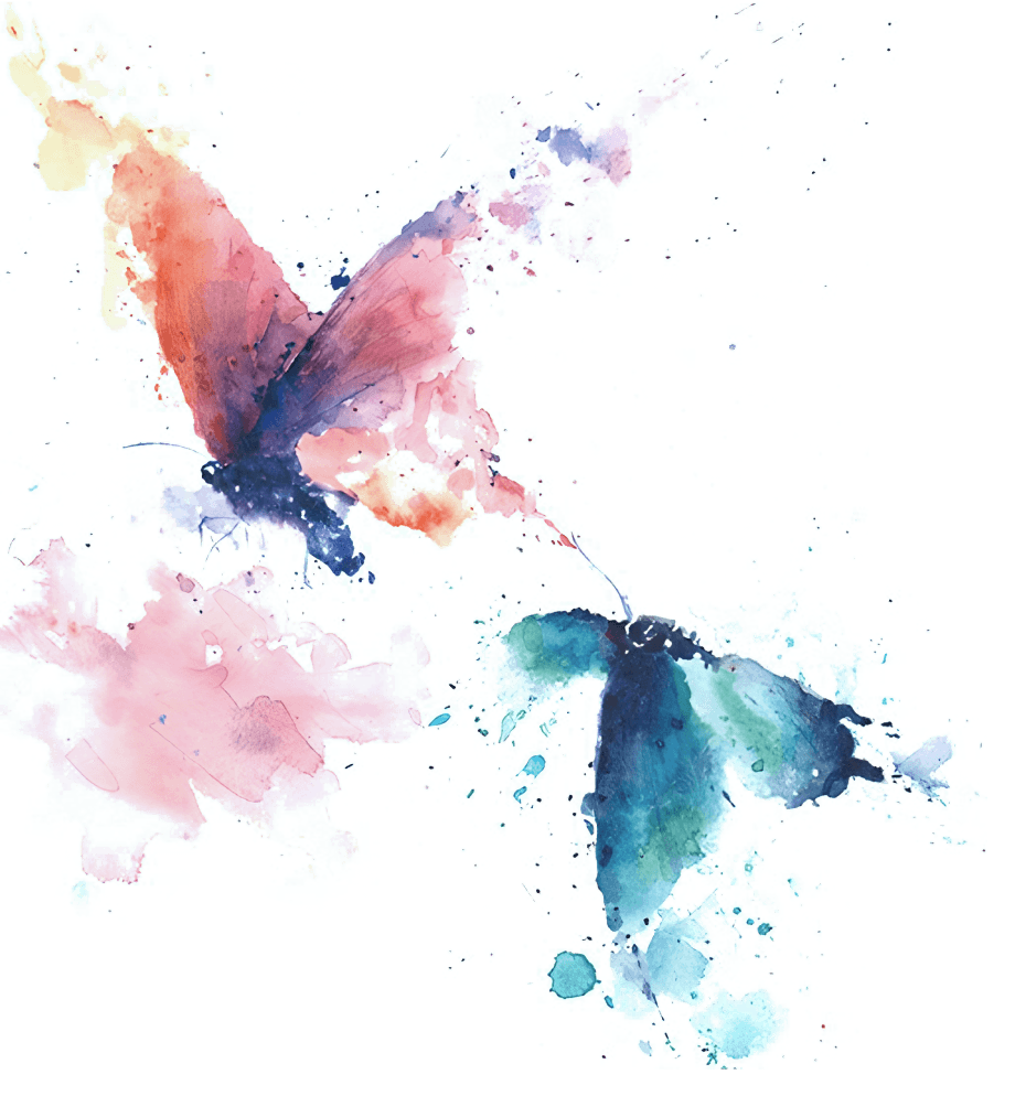 Картинки пара бабочек