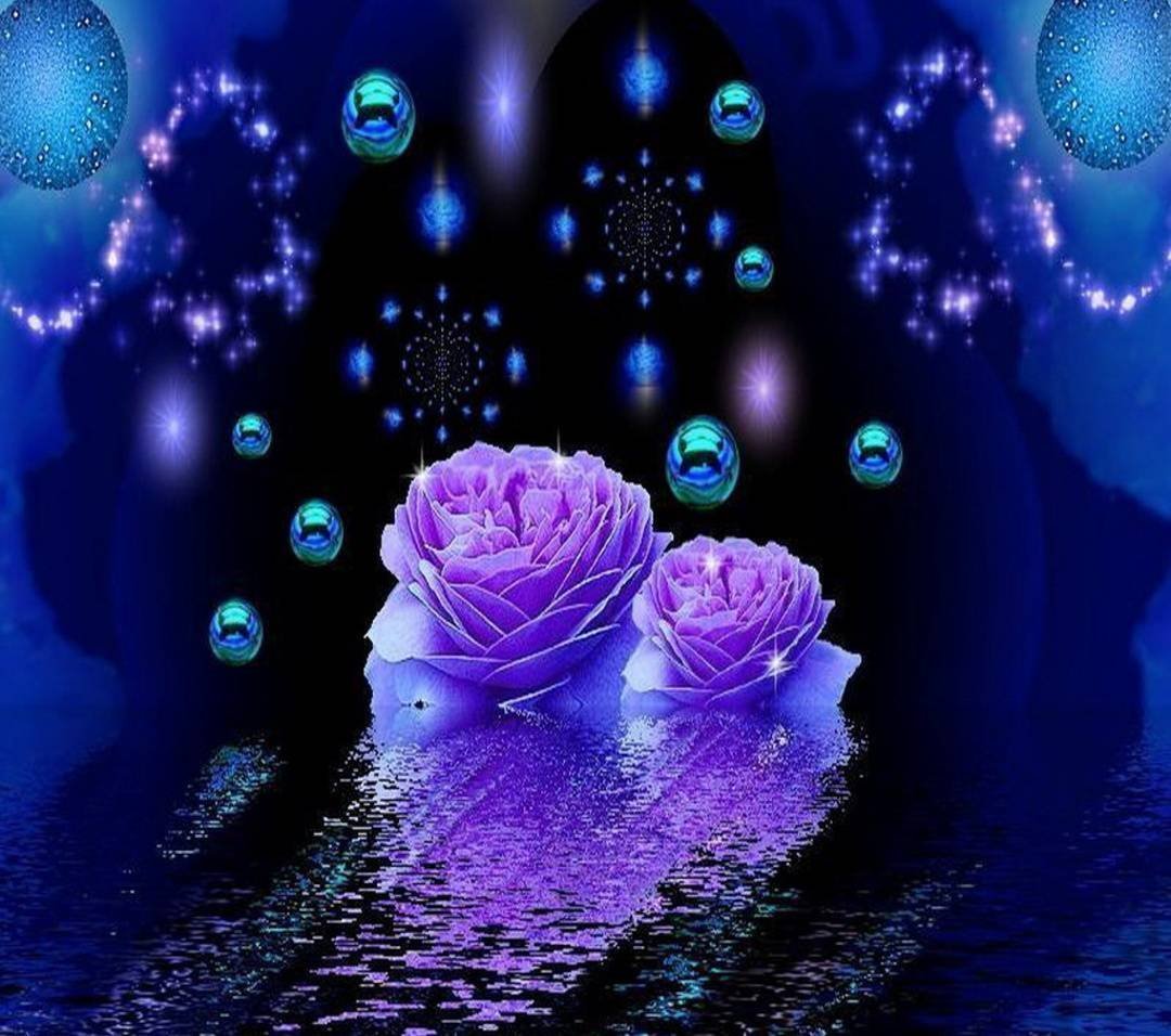 Мерцающие картинки ночь. Переливающиеся цветы. Добрый вечер в синем цвете. Переливающиеся вечерние цветы. Ночной цветок любви.