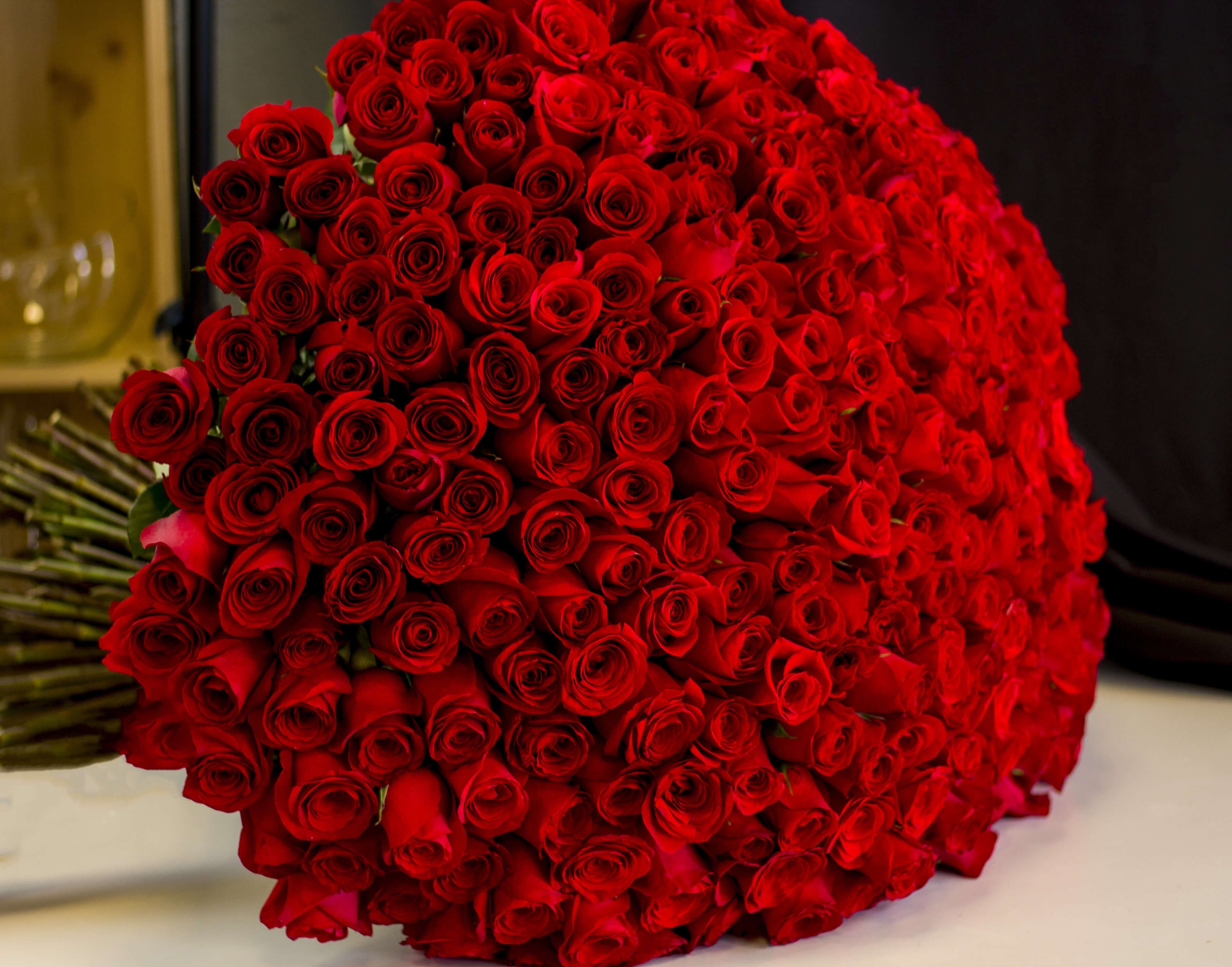 В букете было красных роз. Алые розы 101. Огромный букет. Букет роз огромный. Красивые большие букеты.