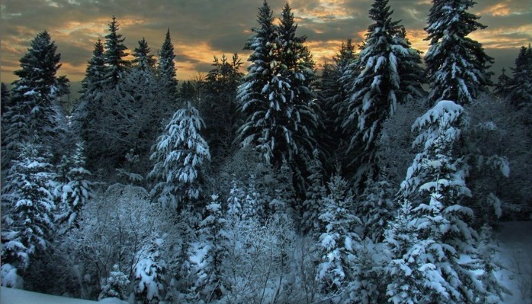 Песня а где то заснеженную сибири. Сибирский лес Сибирская Тайга зима. Тайга зимой. Зима в лесу. Тайга Россия зима.