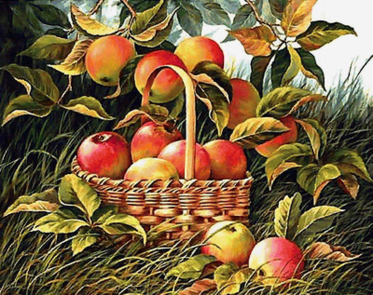Яблоки яблочный спас. Корзинка с яблоками. Натюрморт с яблоками. Натюрморт корзина с яблоками в саду. Яблочный спас картины.