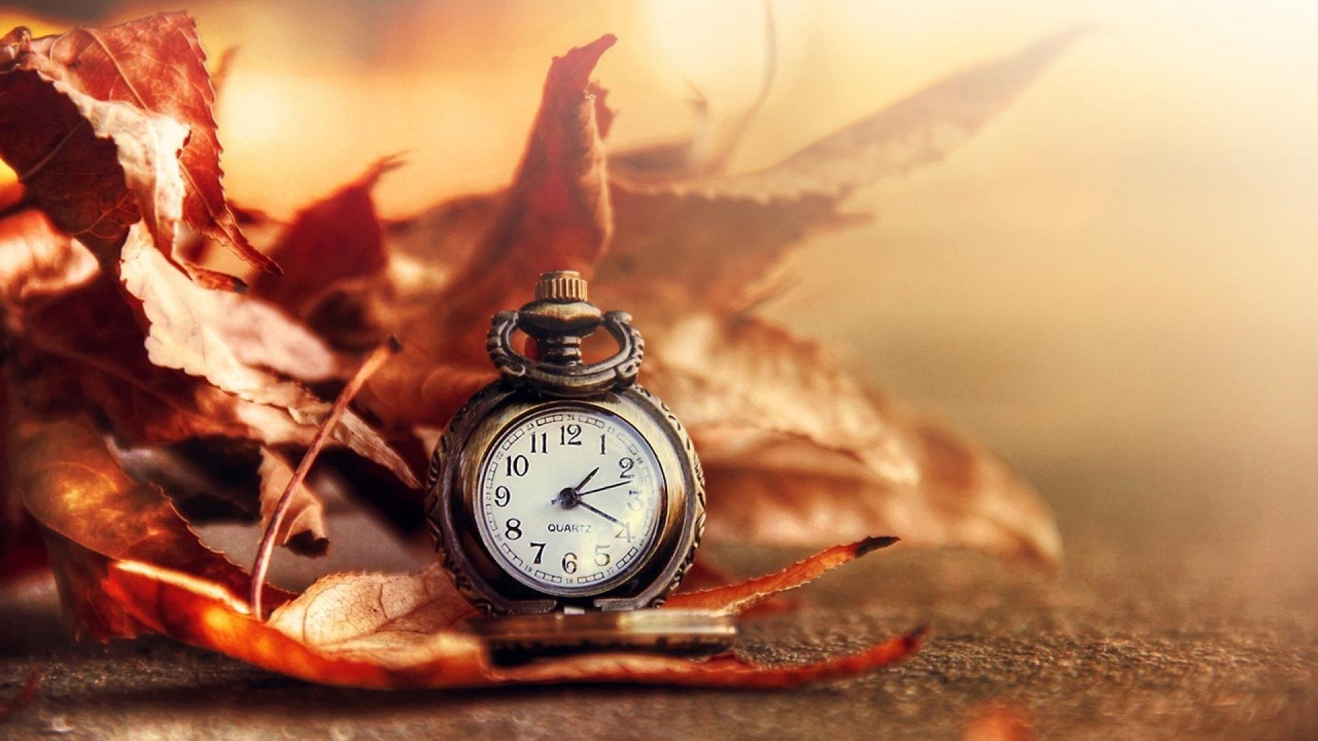 Очень много времени уходит на. Часы осень. Часы в осенней листве. Быстротечность жизни. Помни о времени.