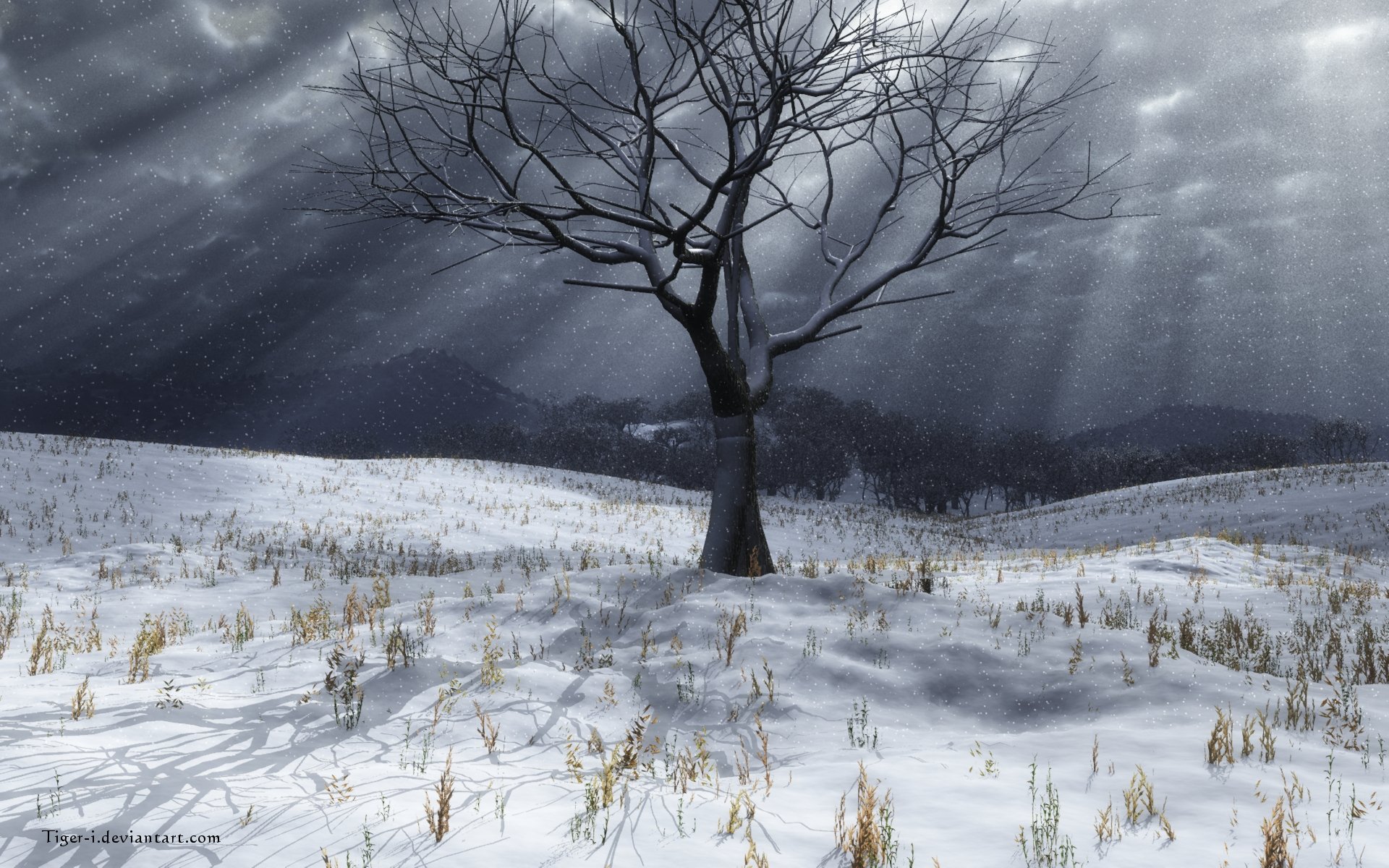 Полная тайна хмурой тишины. Пасмурная зима. Мрачный зимний лес. Мрачный зимний пейзаж. Мрачный снежный пейзаж.