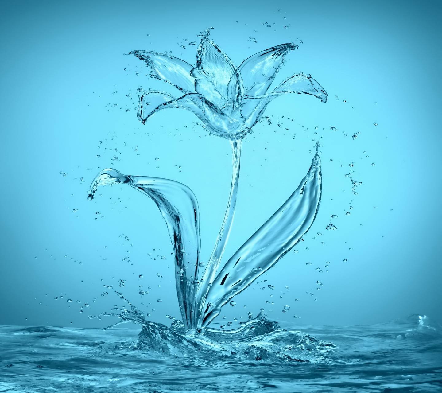 Энергия капель воды. Цветок из воды. Цветок из воды картинки. Фон цветы из воды. Рисунок цветов из воды.