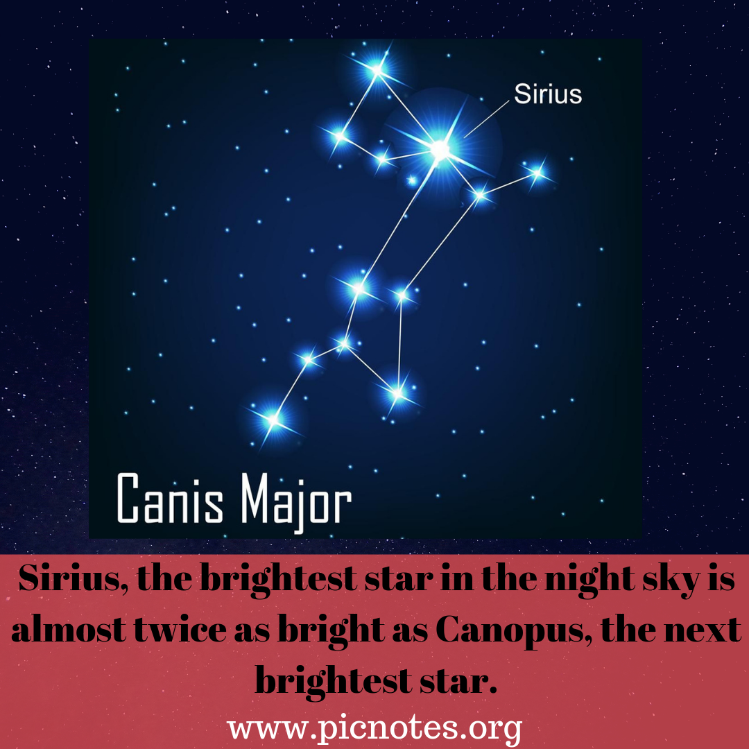 Сириус звезда какого созвездия. Сириус звезда в созвездии большого пса. Сириус звезда схема. Сириус Созвездие canis Major. Сириус Созвездие схема.
