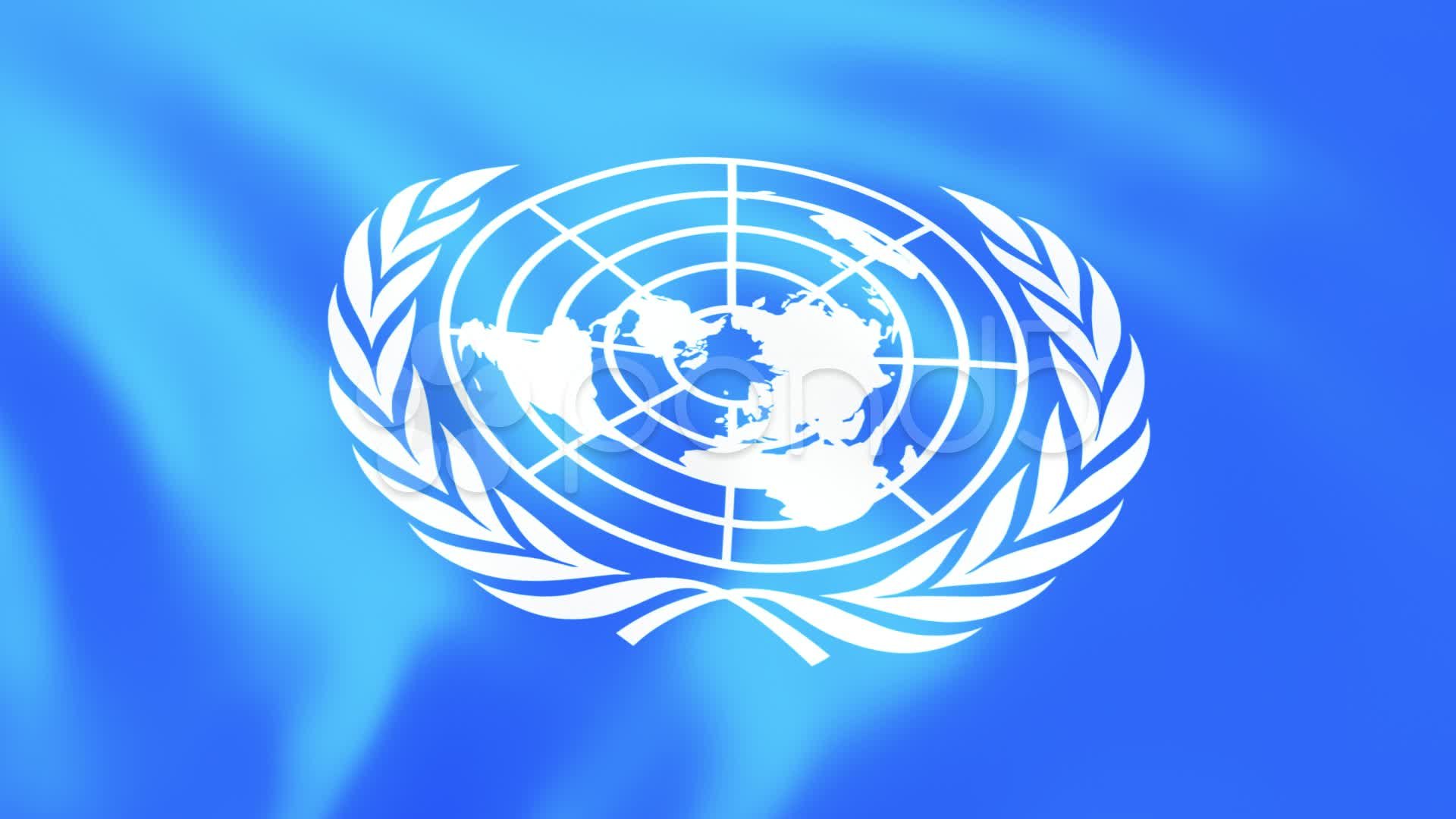 3314 оон. Контртеррористический комитет ООН. Контртеррористический комитет совета безопасности ООН. Флаг ООН. Совет безопасности ООН флаг.