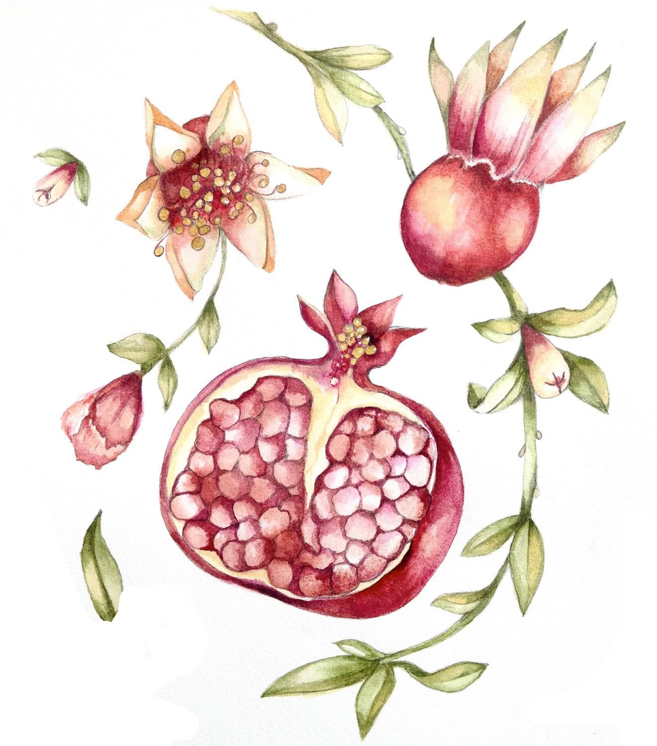 Гранатина плод