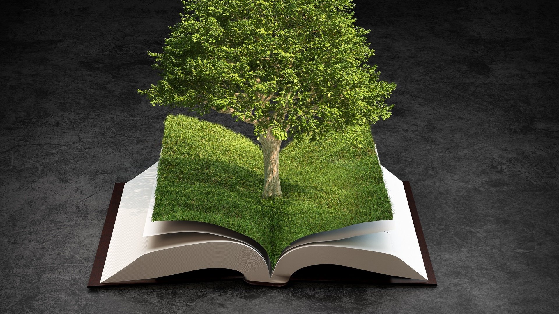 Книги без бумаги. Дерево с книгами. Дерево и бумага. Книжка из дерева. Бумага и природа.