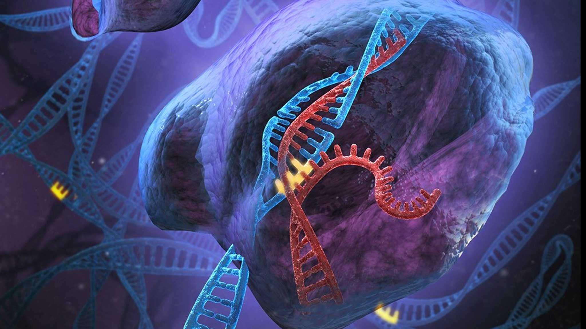 Изменение генома клетки