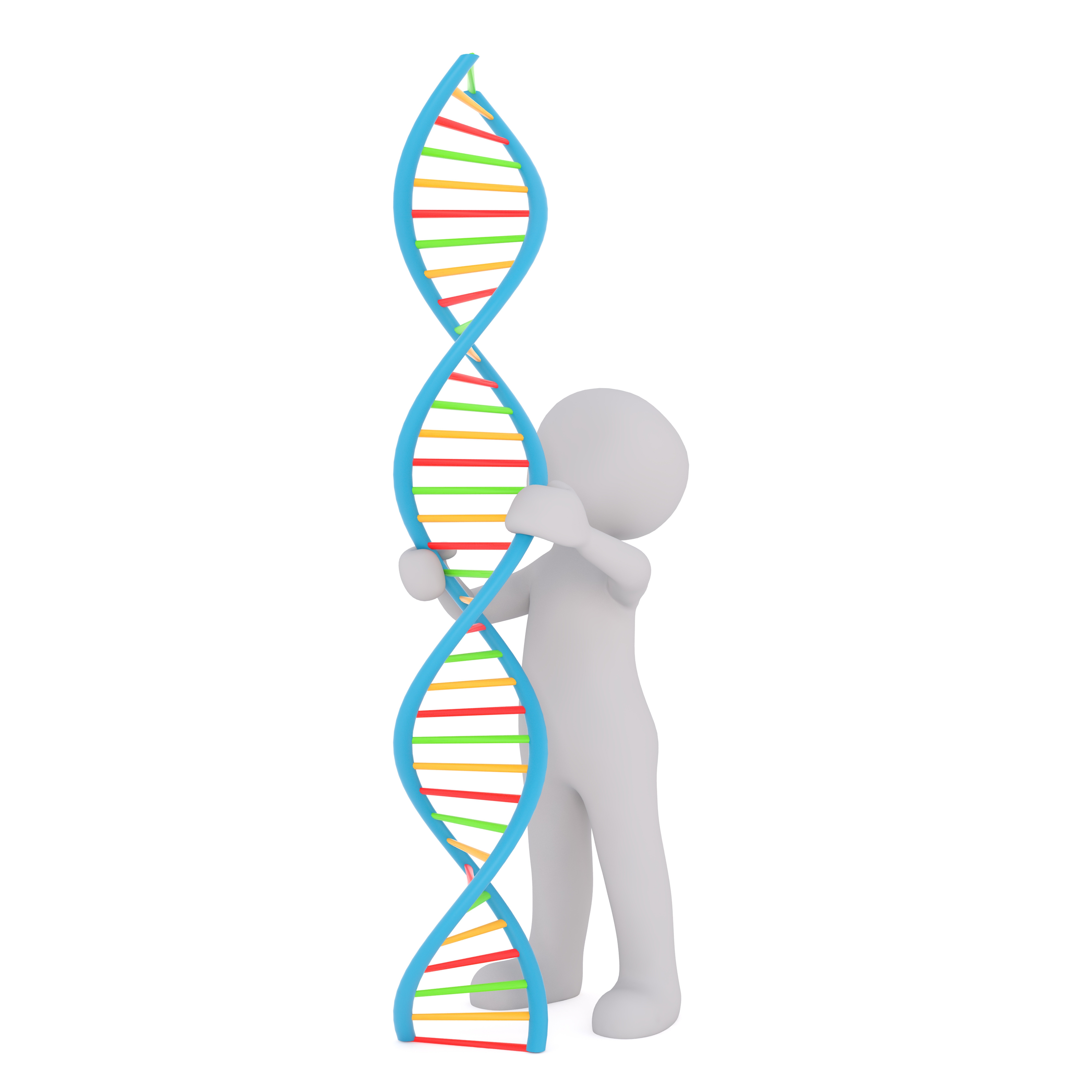 Геном белого человека. ДНК на белом фоне. Ген без фона. Человеческая ДНК. Человек ДНК на белом фоне.