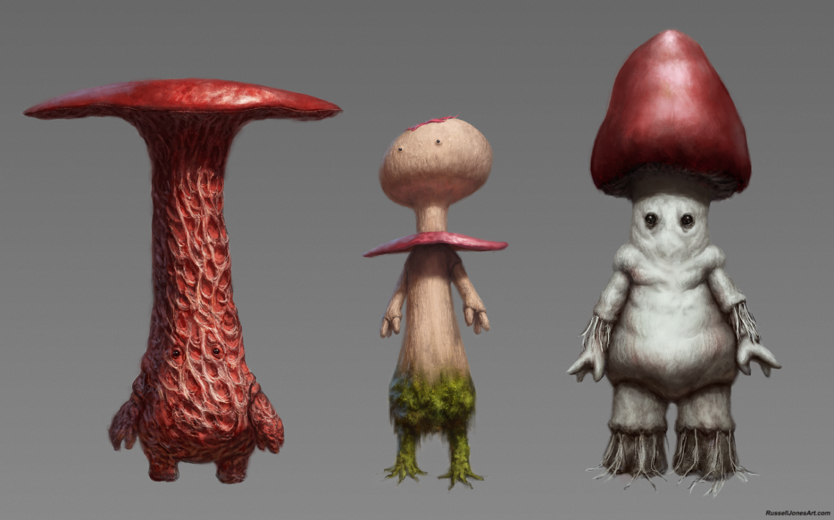 3 the mushrooms to gather yesterday
