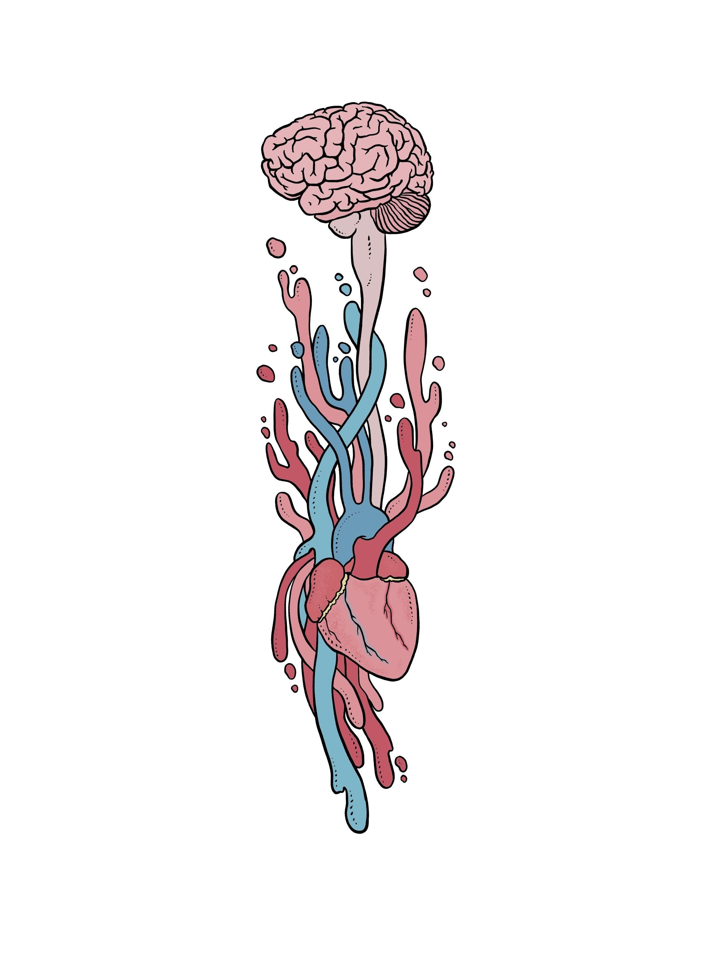 Brain 63. Мозг арт. Мозг эскиз. Мозг нарисованный. Мозг человека арт.