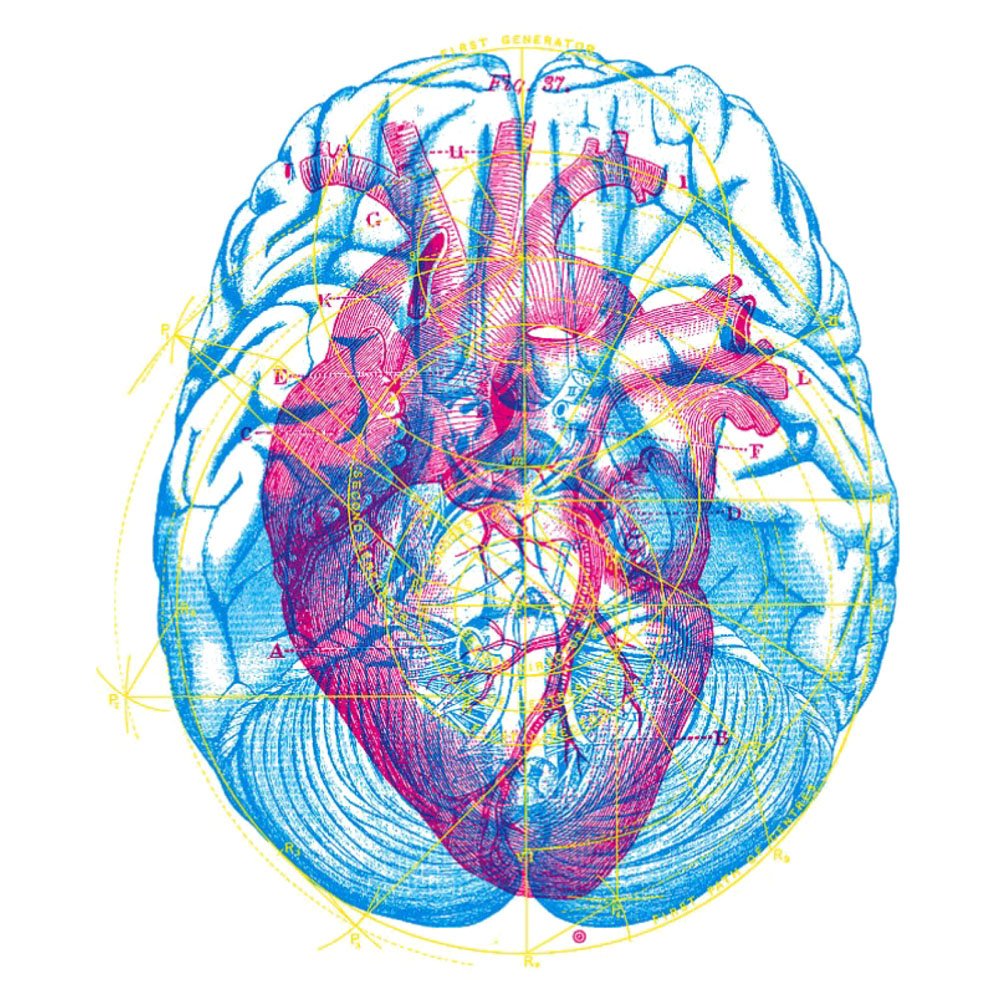 Heart and brain. Мозг и сердце. Связь мозга и сердца. Сердце и мозг взаимосвязь. Мозг арт.