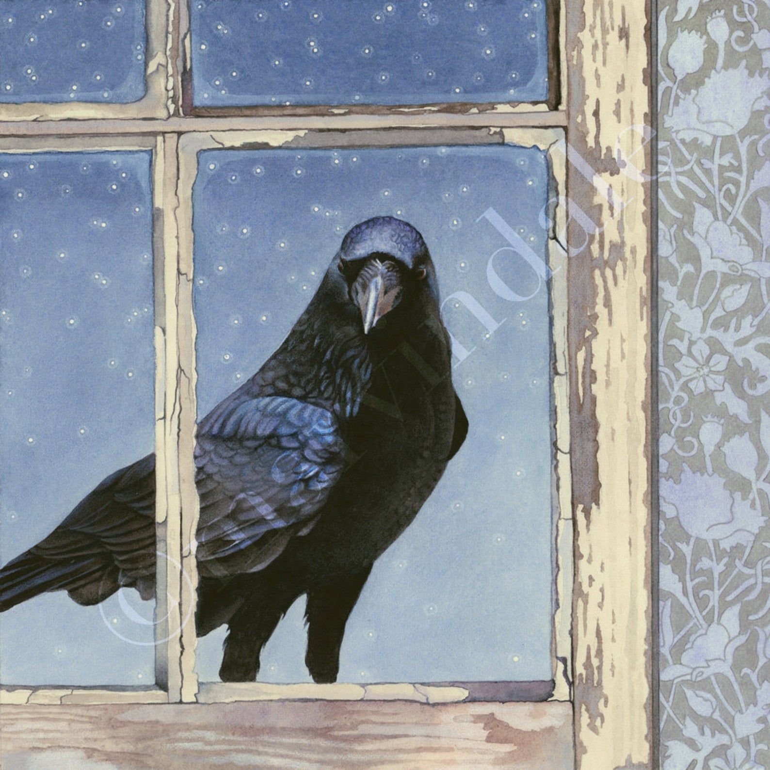 Ворон стучит в окно. Ворона на окне. Ворон на окне. Ворон за окном. Птицы на окна.