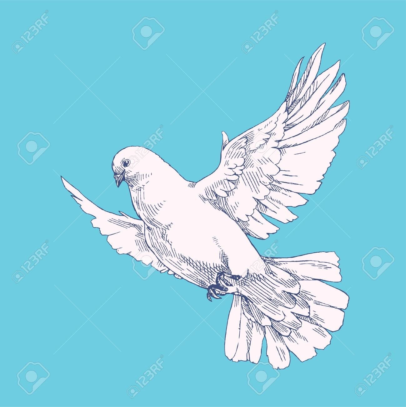 Скетч летающего голубя