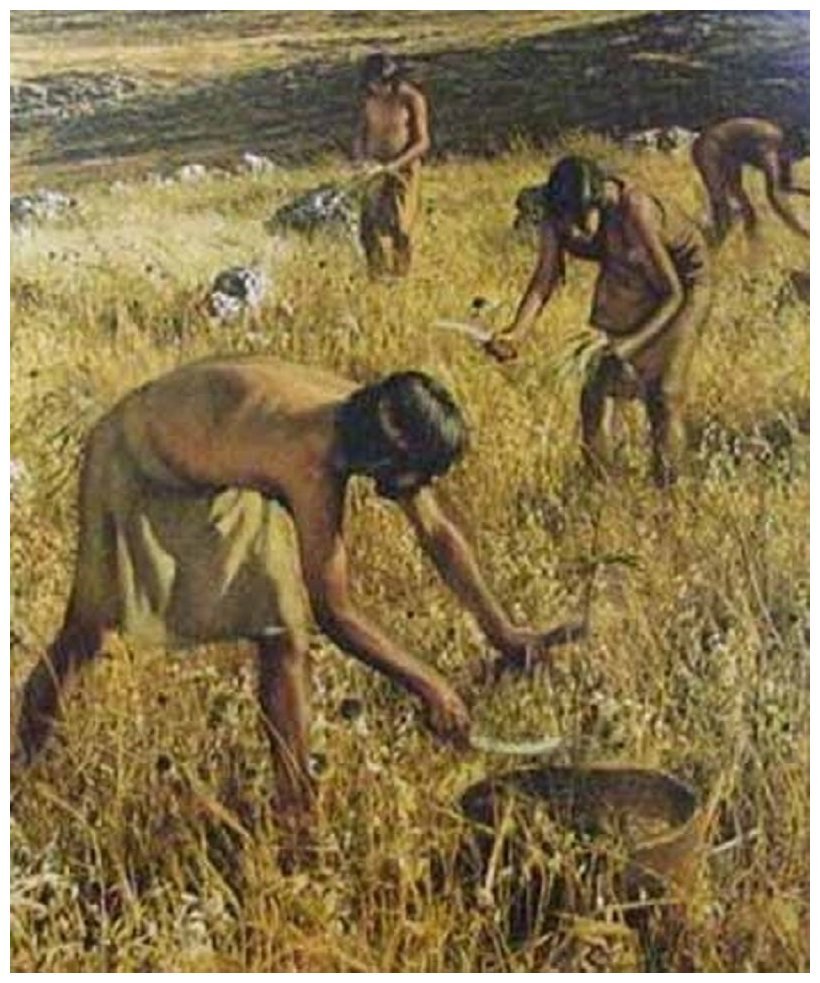 Чем занимались люди в те времена. Собирательство и земледелие. Древние люди земледелие. Первобытное земледелие. Земледелие и скотоводство древних людей.