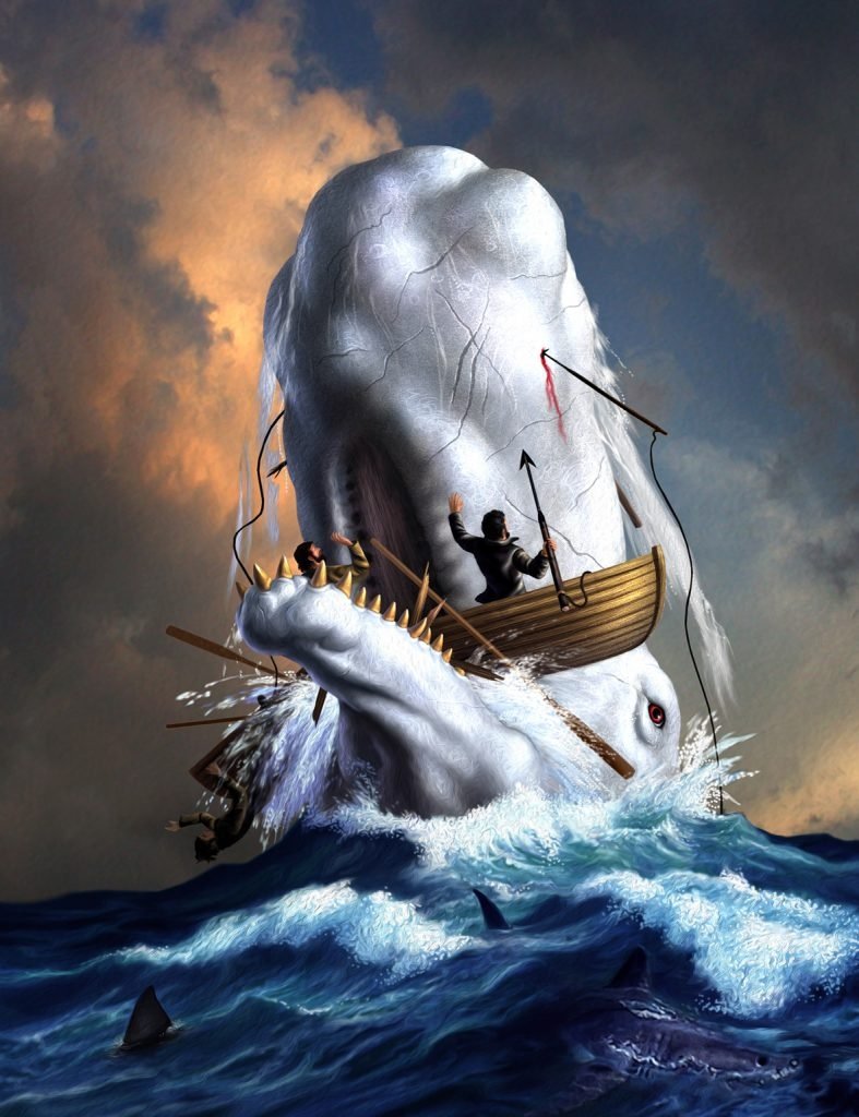 .moby dick