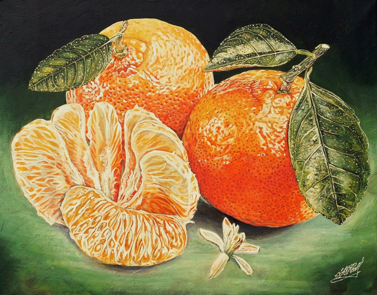 Мандарин легкие. Мандарины Андрияки. Сицилия апельсины картина. Натюрморт с мандаринами.