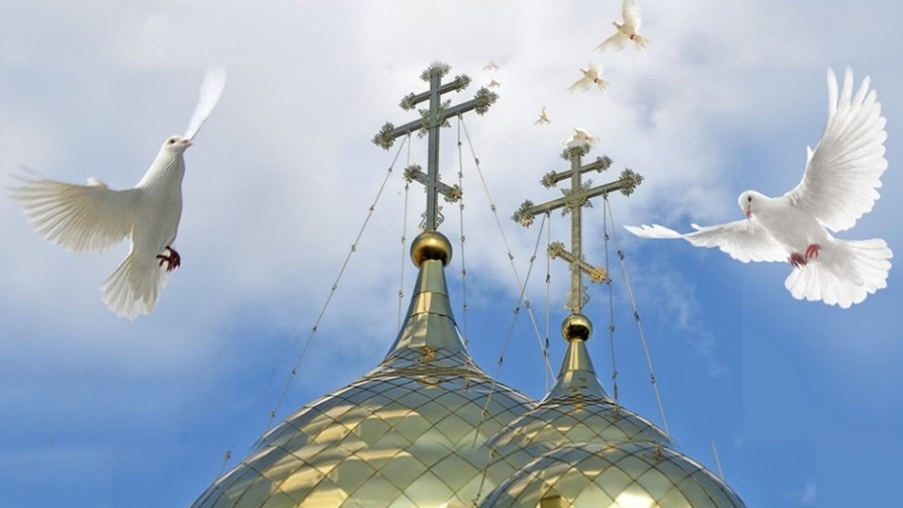 Летящий звон. Голубь на кресте Софийского собора в Новгороде. Голуби над Церковью. Голуби над храмом. Храм и птицы.