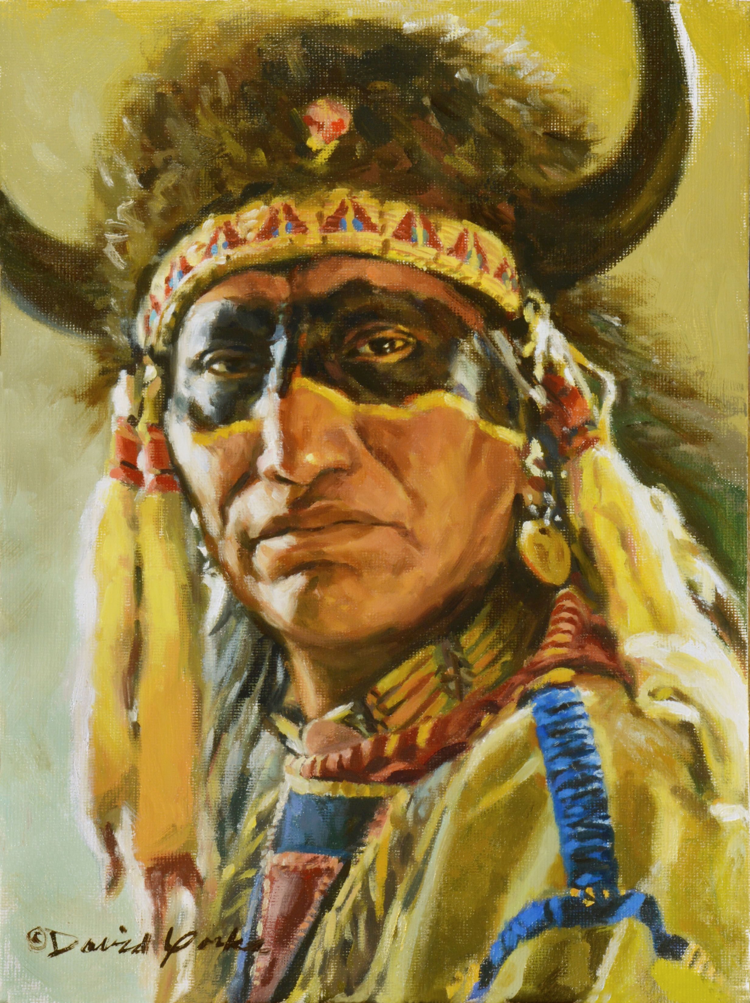 Индеец и индиец. Индейцы Сиу. Индейцы Северной Америки Сиу. Индейцы Сиу арт. David Yorke художник индейцы.