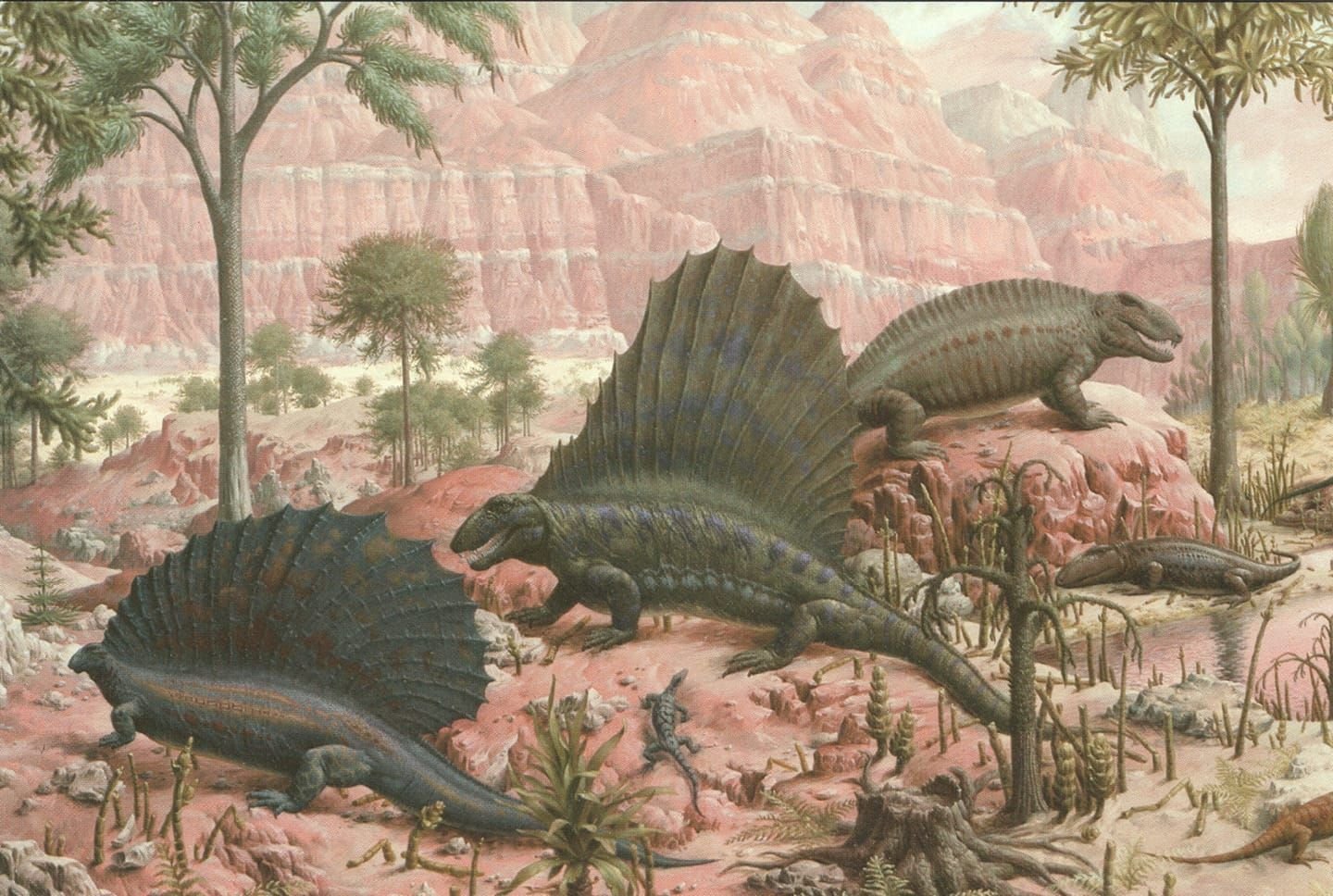 Земноводные палеозоя. Пермский период палеозойской эры. Динозавры палеозойской эры. Пресмыкающиеся Палеозойская Эра. Палеозой, Палеозойская Эра.