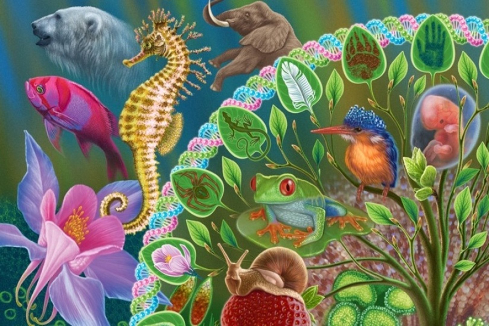 Урок по биологии мир биологии. Биология. Биологические иллюстрации. Картинки по биологии. Живые организмы.