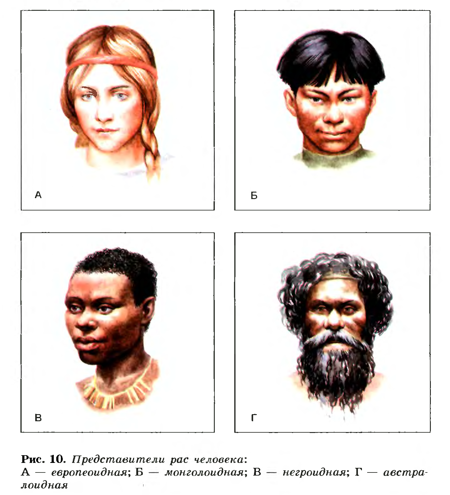 6 человеческие расы. Люди европеоидной и монголоидной расы. Негроидная и монголоидная раса. 4 Расы людей европеоидная монголоидная негроидная и. 4 Расы людей на земле.