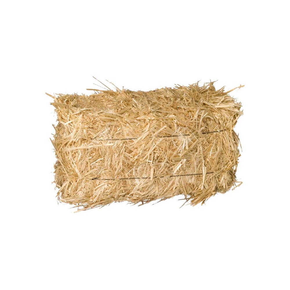 Enshrouded солома. Солома пшеничная тюк (20 кг). Солома на белом фоне. Сено для дошкольников. Солома для детей.