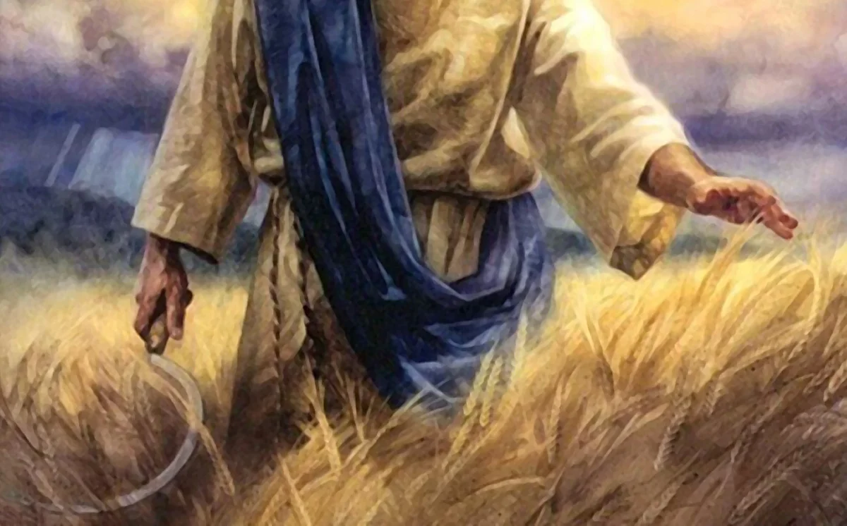 Человек с серпом. Библейские иллюстрации. Христос с учениками в поле с колосьями.