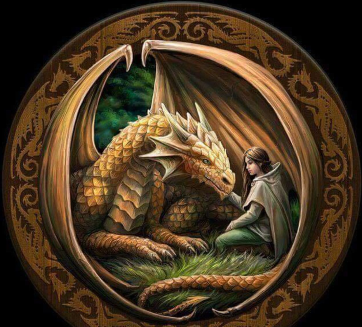 Дева и дракон когда выйдет. Anne Stokes драконы. Энн Стоукс Stone Dragon. Энн Стоукс картины.