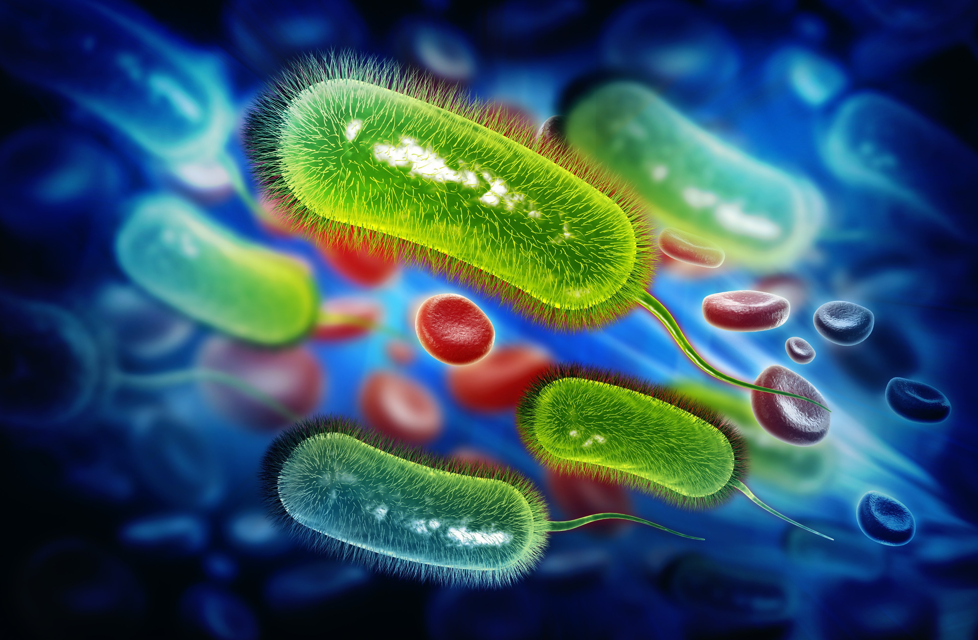 Жива культура бактерии. Бактерия. Красивые микроорганизмы. Красивые микробы. Разноцветные бактерии.