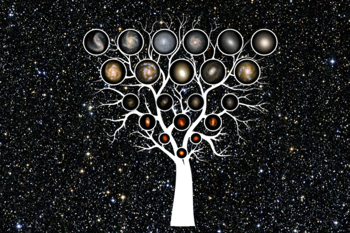Дерево Вселенной. Космическое дерево. Дерево жизни. Космическое Древо жизни.